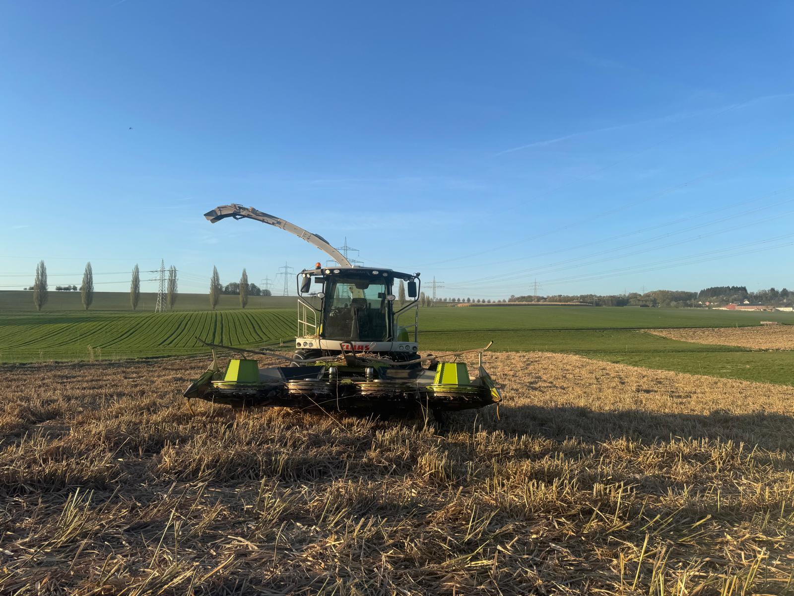 Feldhäcksler bei der Miscanthus-Erne
