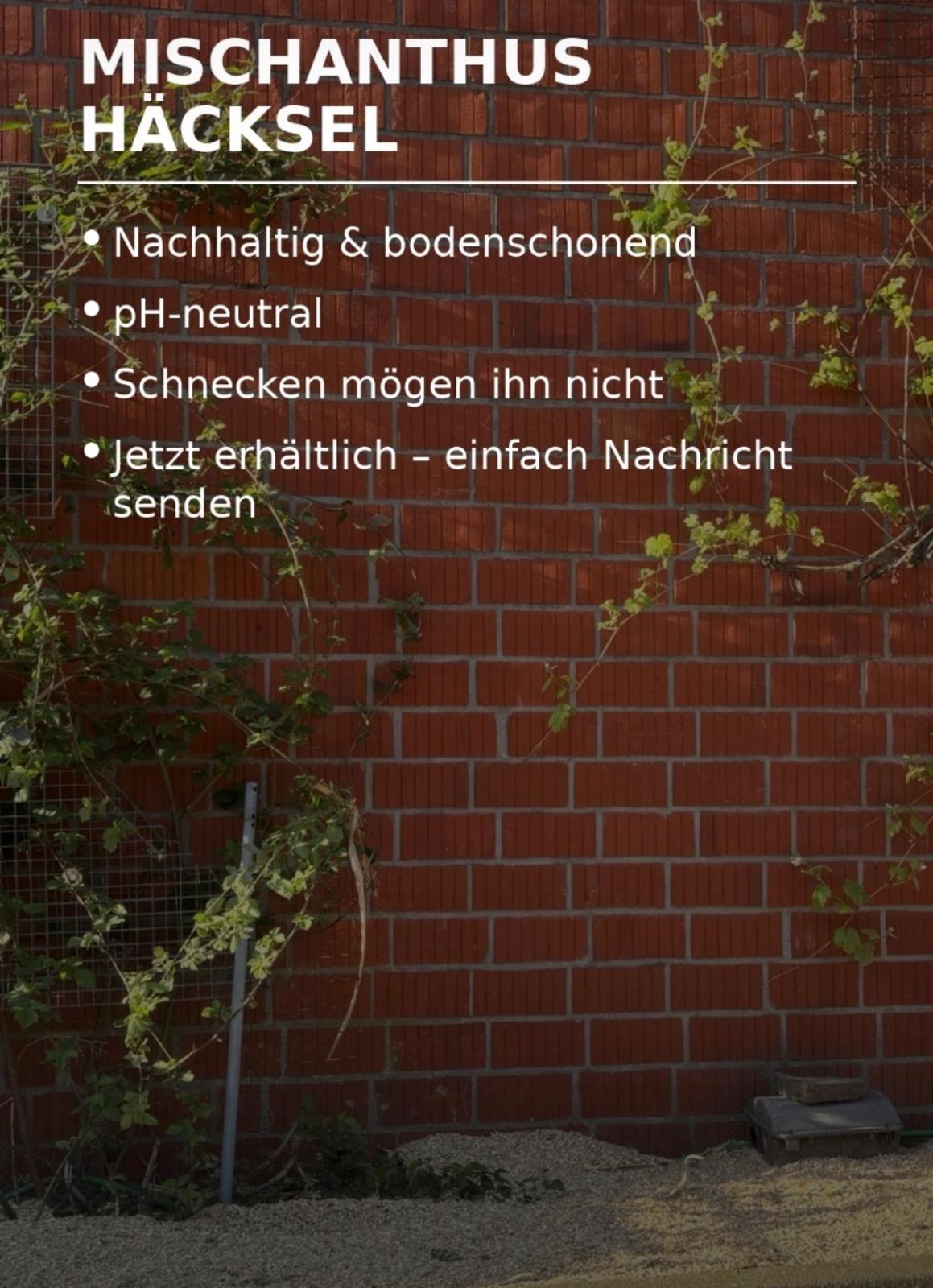 Informationsbild mit Kurzvorteilen zu Miscanthus